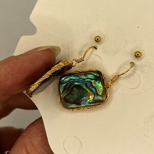 Abalone Earrings Set Genuine Paua Abalone Shell Earrings + Free Stainless Posts
